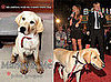 Marley and Me 