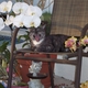 simona112's picture