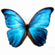 Izzieness's picture