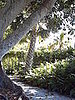 A nice path to explore. 