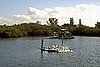 First time I ever saw white Pelicans. I found out they only are here from Nov. to May. 
