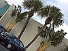 First stop in Florida to eat. 