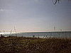 The dunes behind the beach which led to a picnic Park in Long Boat Key. 