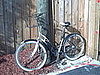 That is the kind of Island Bike I could go for. 