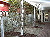 A natural look for a back patio!