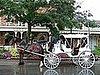 The carriage tour is a nice way to see Niagara On The Lake. 