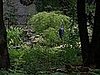 In the Gardens of the Romance House.