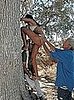 Photographer Peter Beard helps Emanuela De Paula scale a tree.