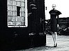 Lara Stone