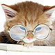 animalrightschik's picture
