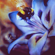 VAN3Z's picture