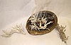 Drive the ick out of your living space and make a fresh start with the time honored tradition of burning sage.  