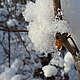 Ashtastic's picture