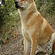 erikacklein's picture