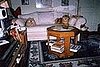 Miti and Hero show off new coffee table.  Note Hero's reflection in the glass and shadow on wall.