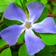 StanKjar's picture