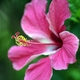 arleen87's picture
