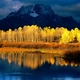 brigi's picture