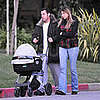 Adam Sandler's Sunny Stroll