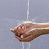 Wash Your Hands Frequently