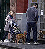 Naomi and Liev Take Alexander and Pups For a Morning Stroll