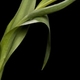 Urbanet's picture