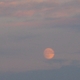 bellacu's picture