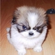 actiny's picture