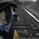 honeybee10's picture