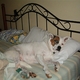 kacott09's picture