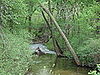 country creek