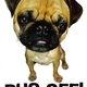 glenn1031's picture