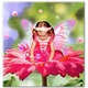 samiamtou's picture