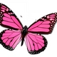 Laura10's picture