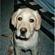 conan42's picture