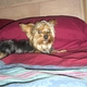 esmefort's picture