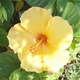 BelleNuit's picture