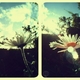 emmaxx vintage's picture