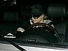 mr_fp_104541