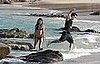 mr_fp_99542