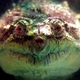 lonesome 13's picture