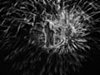  all in grey only pointing out some of the tree -  the life tree - exists in ancient northern legends Yggdrasil