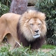 rosemary47's picture