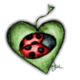 bekbork's picture