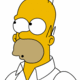 homer S's picture