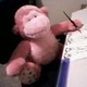 Pink Monkey's picture