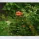 poetry2go's picture