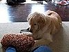 What's under there?