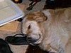 I need a nap, this sandal looks like a good pillow.