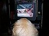 watching tv